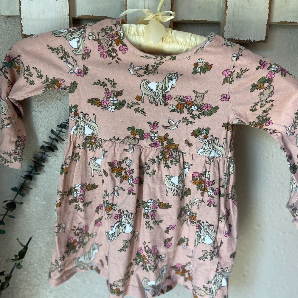 4/$20 H&M Pink Long Sleeve Cottagecore Skater Dress 2T